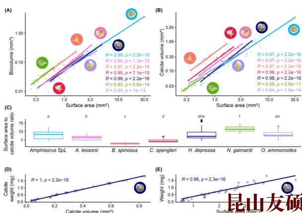 1748929143281942.jpg 360截图20250603133808997.jpg
